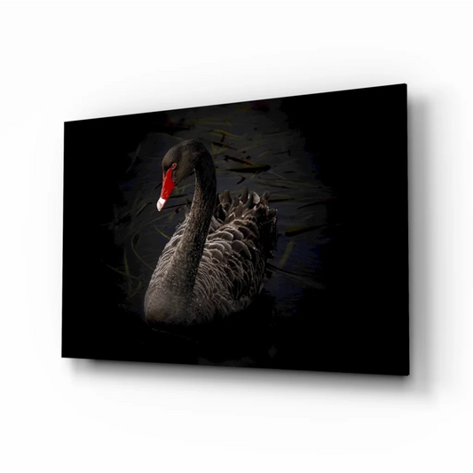 Dramatic black swan glass wall art with bold red beak on textured canvas