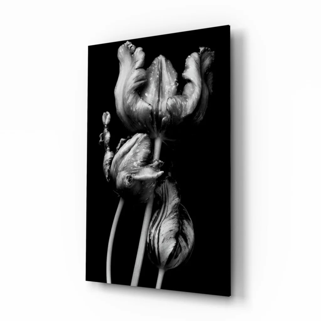 Black-and-white tulips glass wall art on modern canvas frame
