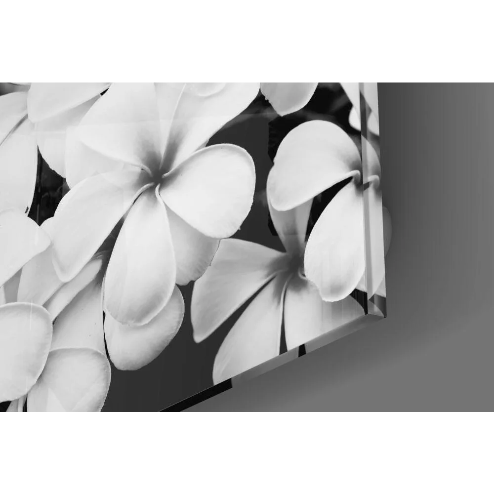 Stunning Frangipani Glass Wall Art in Timeless Black and White | Modern Wall Art Decor | vintageantiquesgifts.com