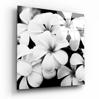 Stunning Frangipani Glass Wall Art in Timeless Black and White | Insigneart USA | vintageantiquesgifts.com