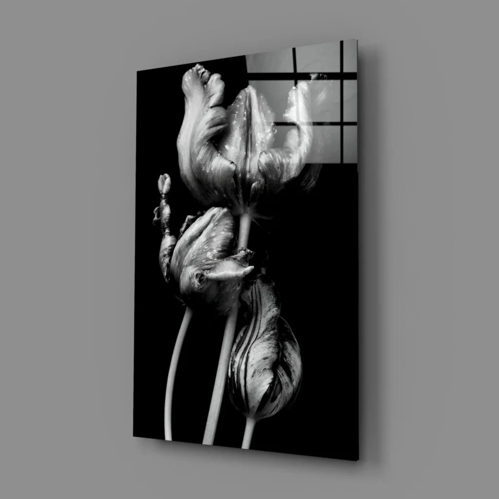 Black-and-white tulips on glossy acrylic glass wall art