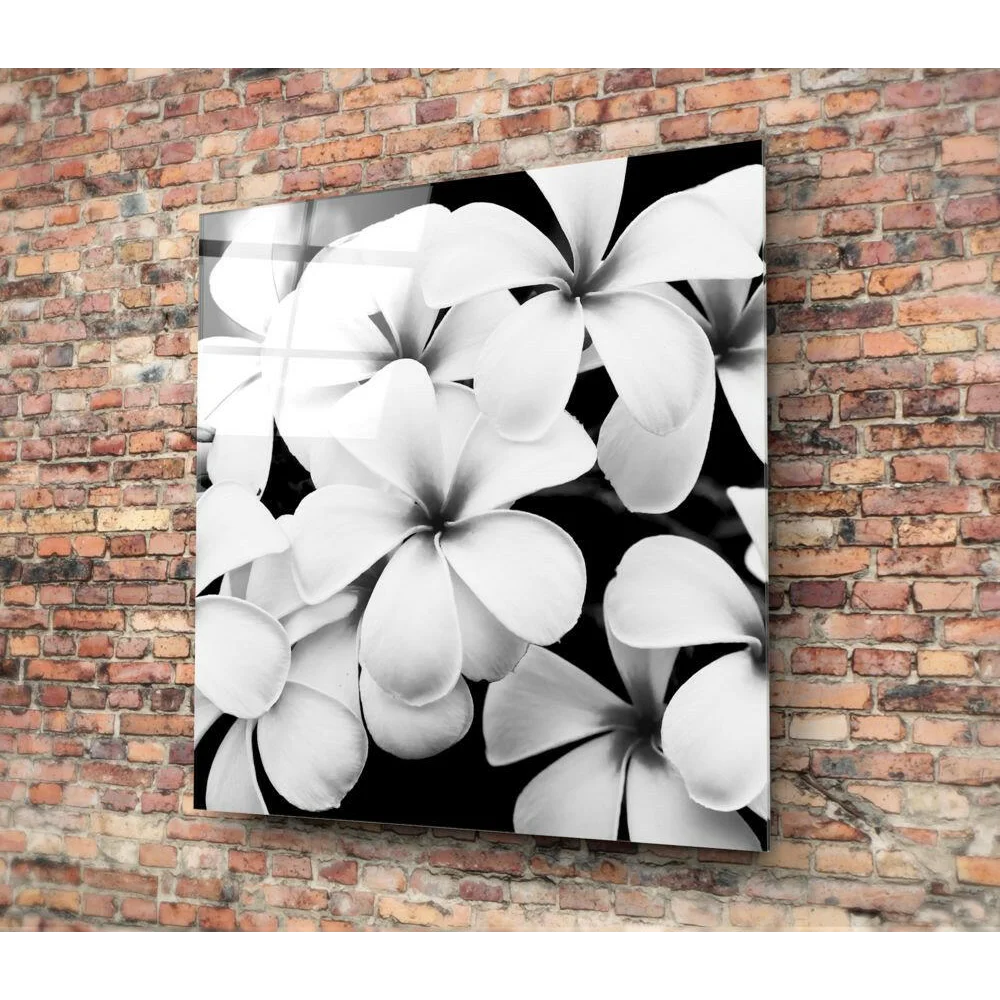 Stunning Frangipani Glass Wall Art in Timeless Black and White | Glass Wall Art Print | vintageantiquesgifts.com