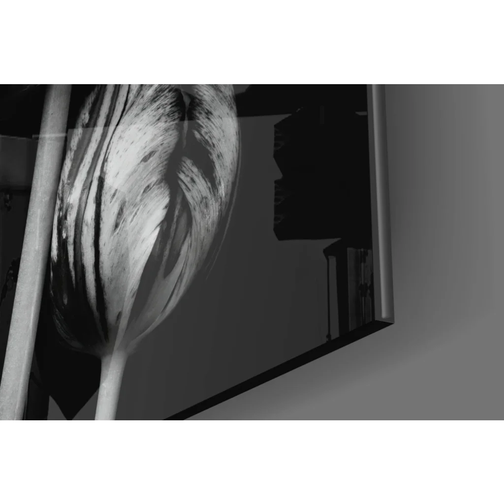 Stylized monochrome tulip on flowers glass wall art