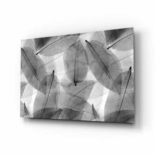 Translucent Leaf Veins Canvas Wall Art in Stunning Black and White | Insigneart USA | vintageantiquesgifts.com
