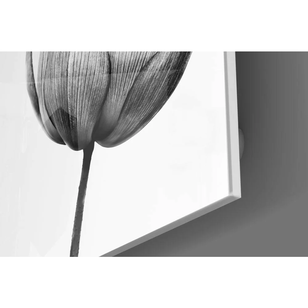 Black and white tulip wall art print on canvas