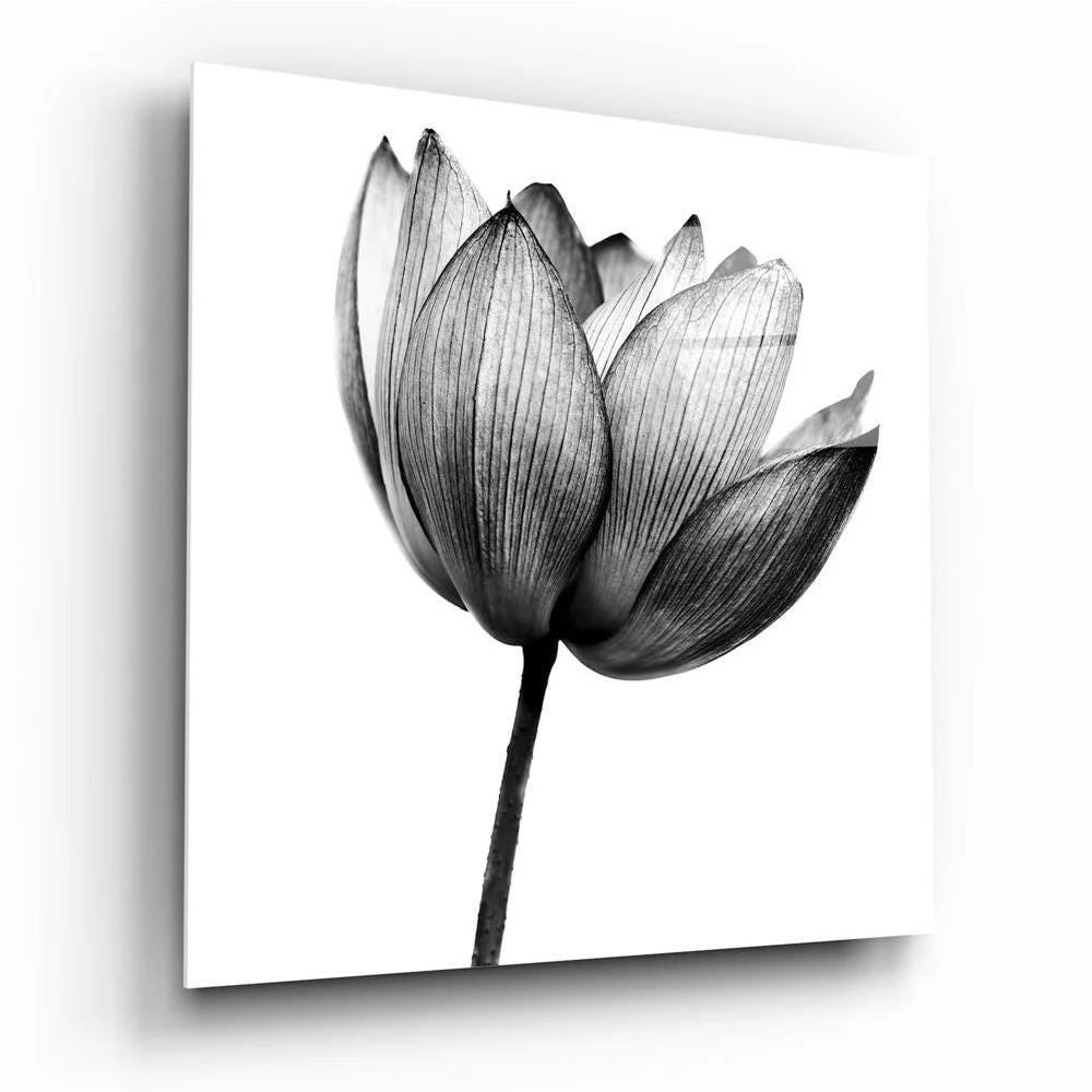 Black and white lotus canvas wall art print