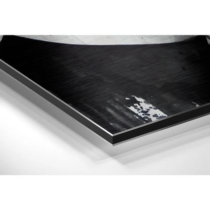 Stunning Brushed Aluminium Dibond Wall Art in Black | Glass Wall Art Print | vintageantiquesgifts.com