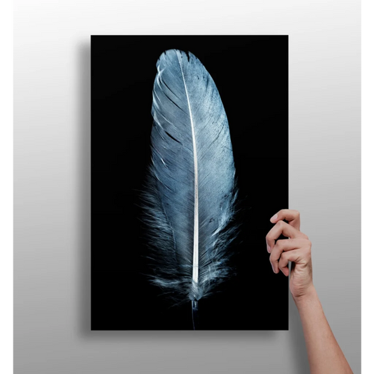 Stunning blue-gray feather on insigne aluminum print with textured quill