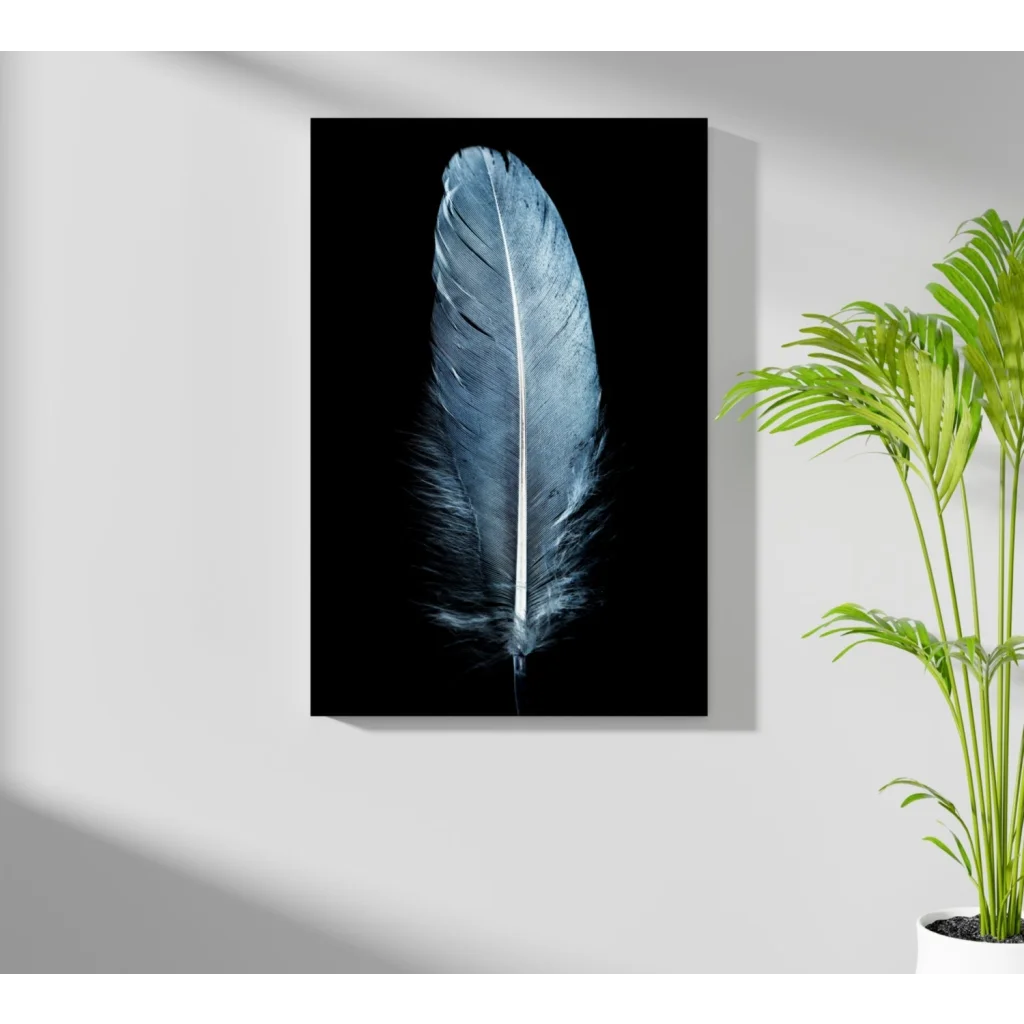 Stunning feather insigne aluminum print in black-and-white