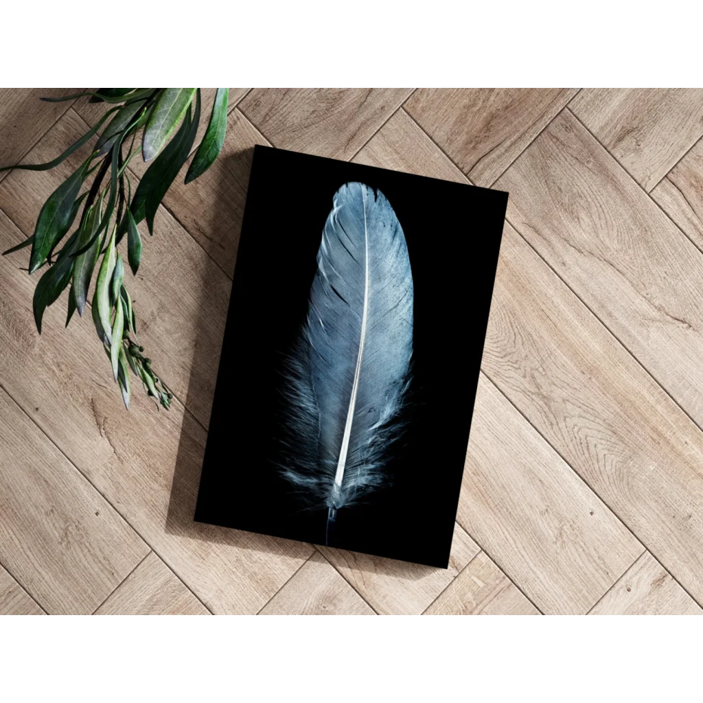 Sleek silver-gray feather on black canvas in stunning insigne aluminum prints