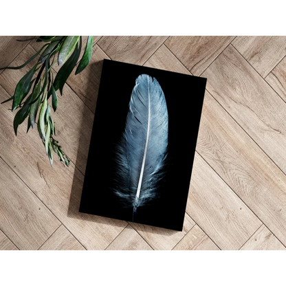 Sleek silver-gray feather on black canvas in stunning insigne aluminum prints