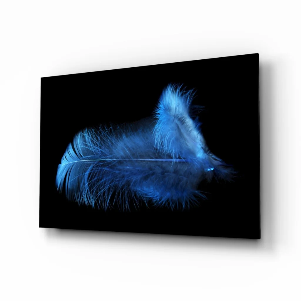 Striking blue feather glass wall art on sleek black canvas
