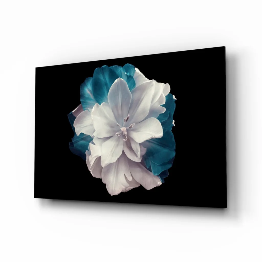 Stunning teal flower glass wall art on black canvas print