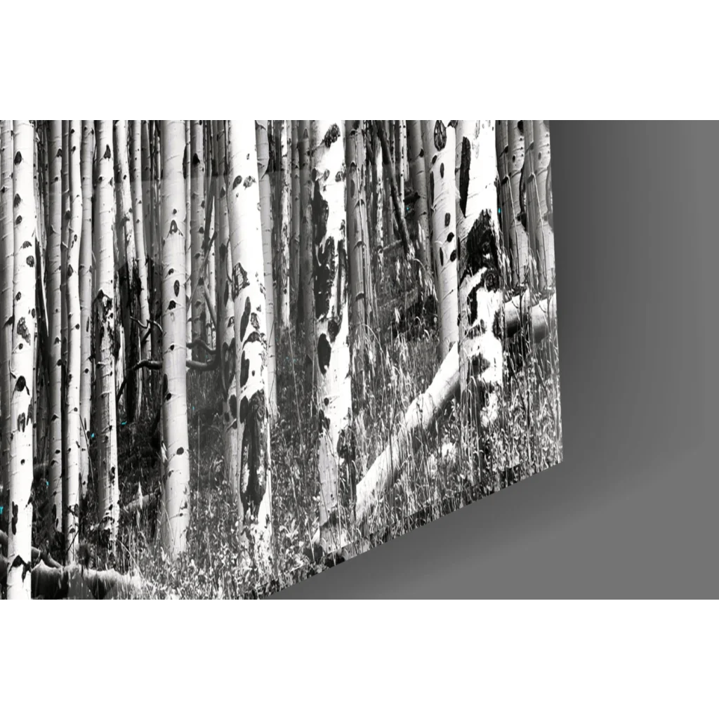 Turquoise aspen forest glass wall art with white bark trees