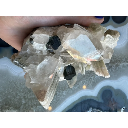 Hand holding translucent quartz with black tourmaline and blue indicolite tourmaline on matrix from Nuristan, Afghanistan