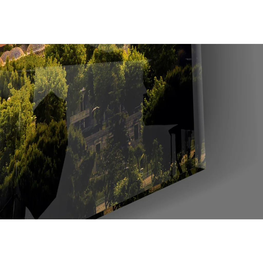 Sleek black-framed glass wall art print of lush green forest with sunlight through trees
