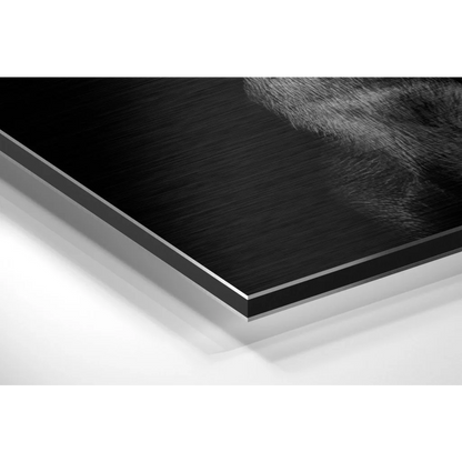 Bold dog portrait on brushed aluminium dibond wall art with black metal frame