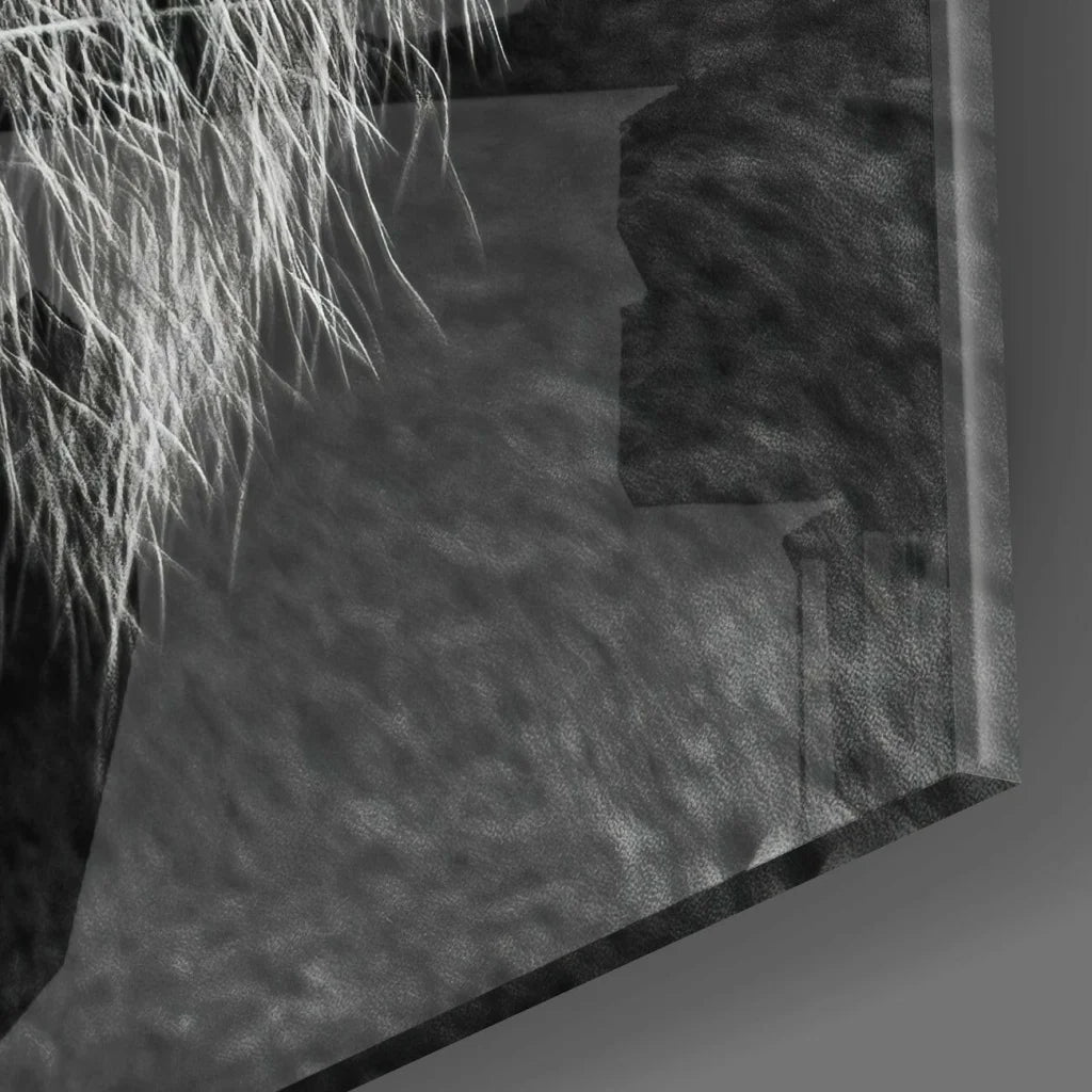 Bold Tiger glass wall art with black leather fringe and silver accents