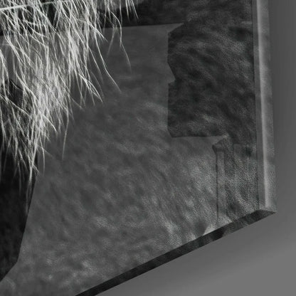 Bold Tiger glass wall art with black leather fringe and silver accents