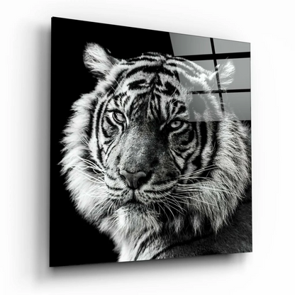 Sleek black and white tiger glass wall art with textured fringe