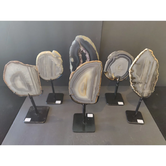 Six Brazilian agate slices on metal display stands with gray banding