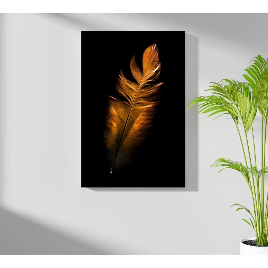 Golden feather on black aluminum print wall art