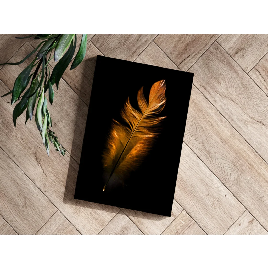Golden feather on black aluminum print wall art