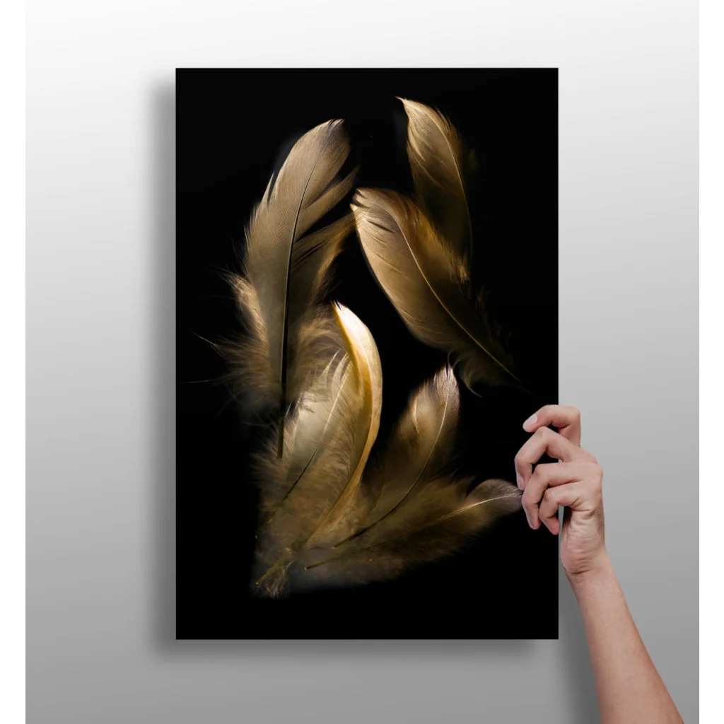 Golden feathers insigne aluminum prints on black canvas wall art