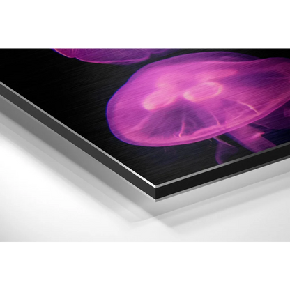 Vibrant purple jellyfish on brushed aluminium dibond print