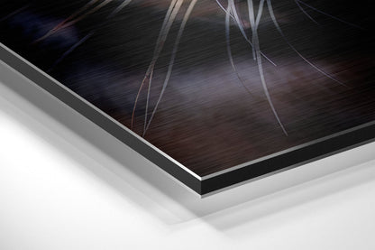 Snarling Tiger Face Closeup Brushed Aluminium Dibond Wall Art