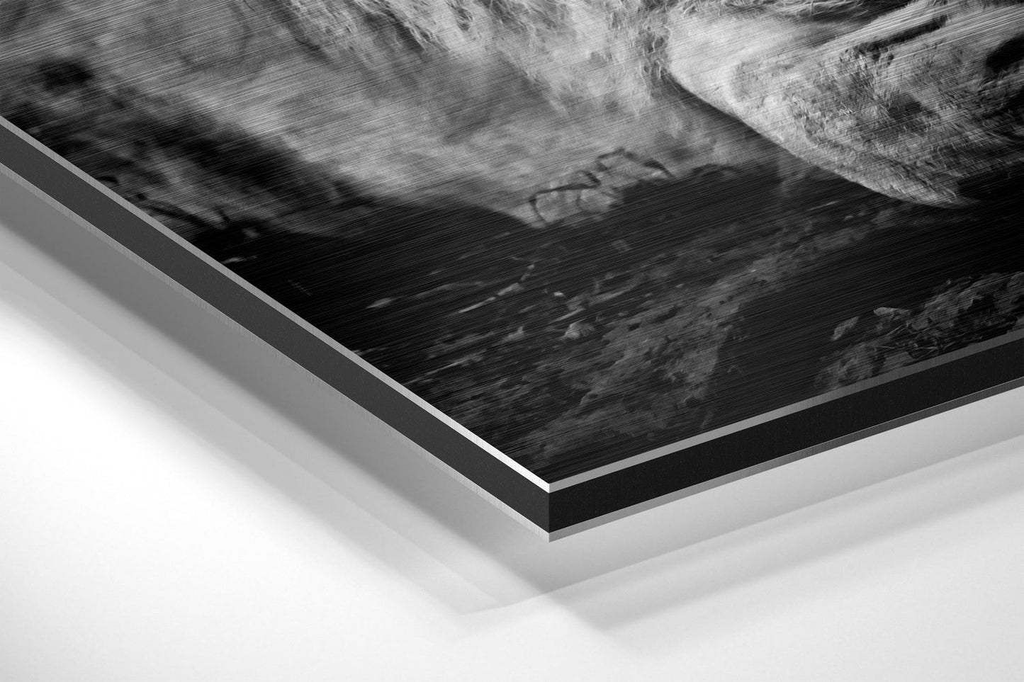 Black and White Resting Lion Brushed Aluminium Dibond Wall Art