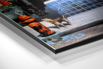 Angled perspective view of brushed aluminium Dibond wall art showing dog with fish and orange objects, blue solar panels, and text visible on glossy surface.