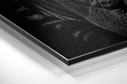 Close-up angled view of layered Dibond wall art showing brushed black aluminum surface with white backing layers.
