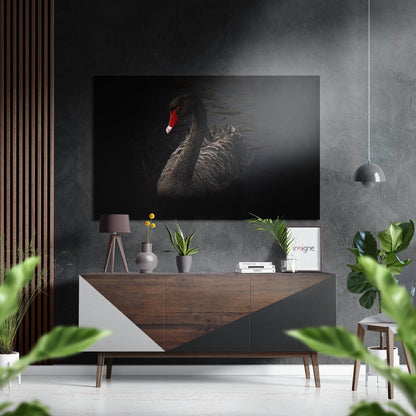 Black swan with red head displayed on wall above wooden console table in modern interior with plants and pendant light.
