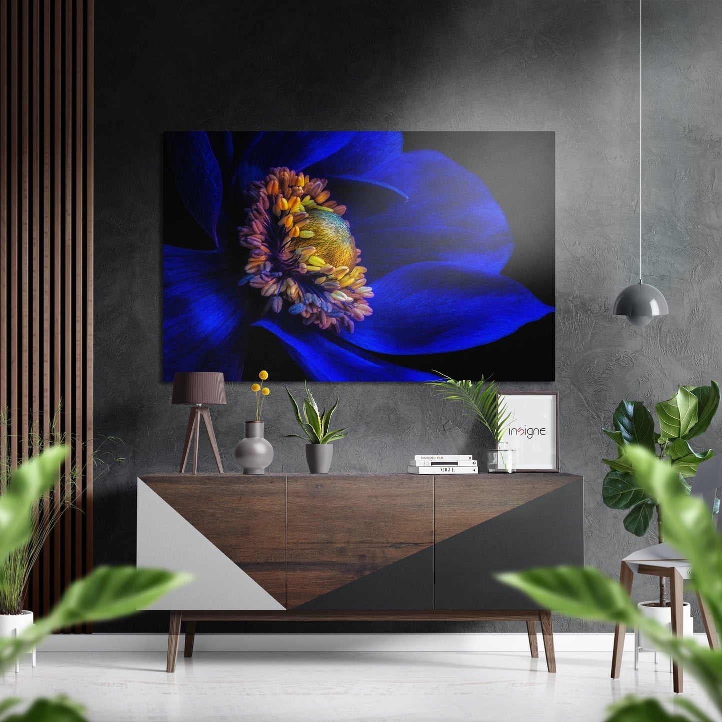 Cobalt Blue Anemone Flower Macro Brushed Aluminium Dibond Wall Art