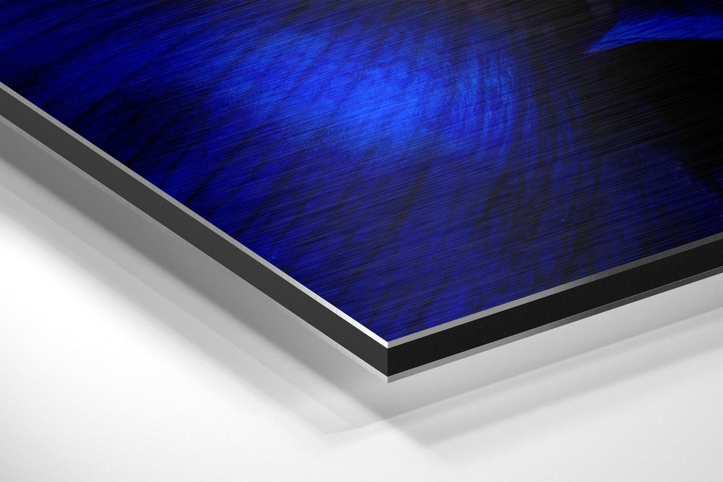 Cobalt Blue Anemone Flower Macro Brushed Aluminium Dibond Wall Art