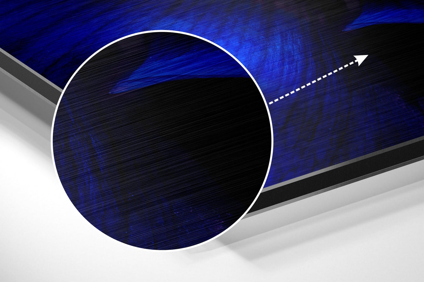 Cobalt Blue Anemone Flower Macro Brushed Aluminium Dibond Wall Art