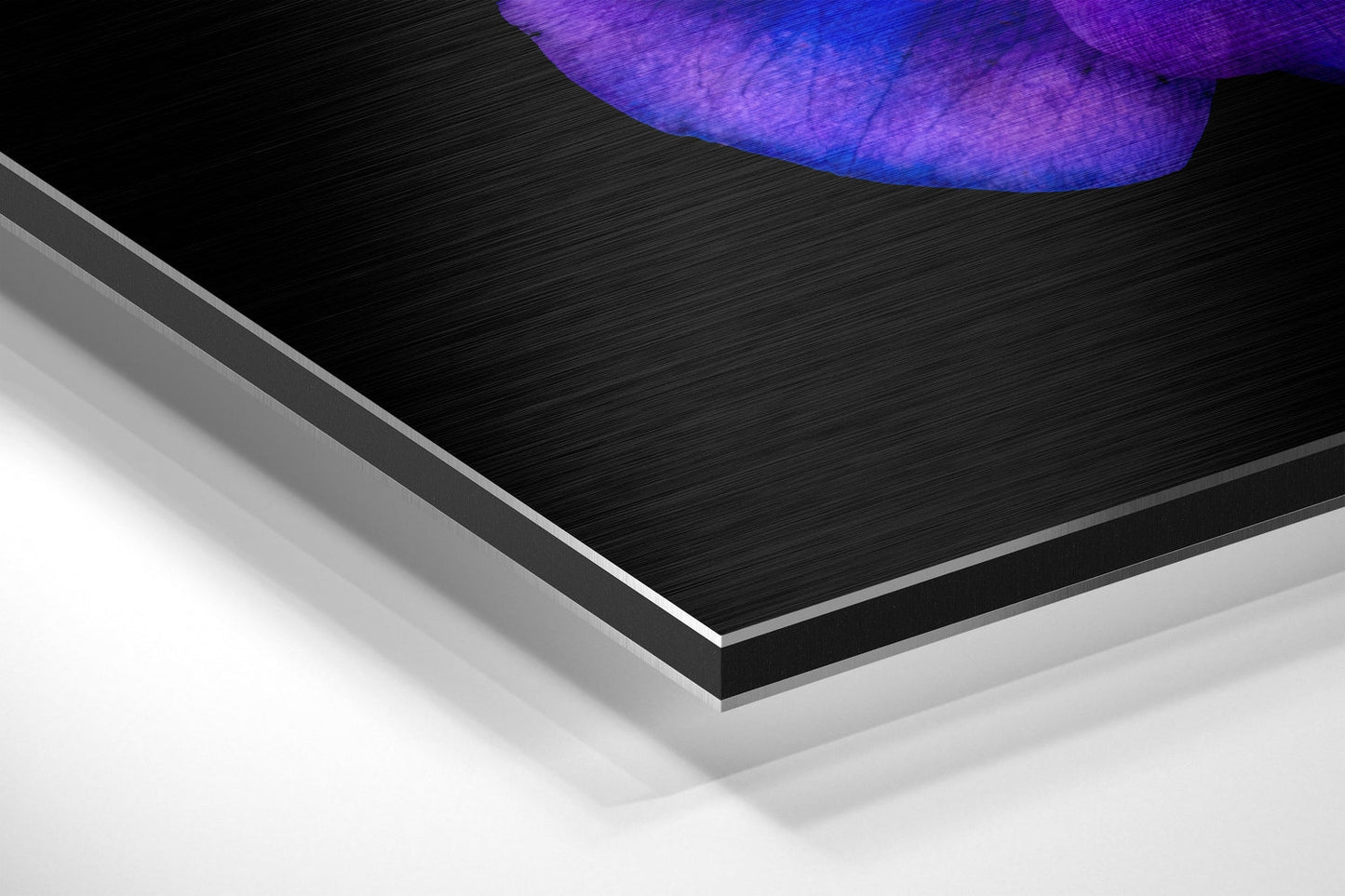 Violet and Pink Anemone Pair Brushed Aluminium Dibond Wall Art