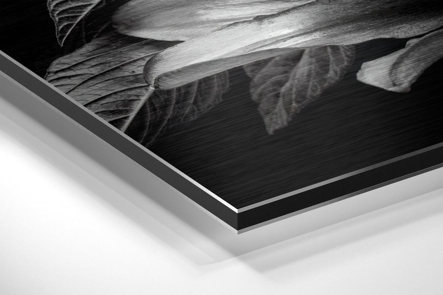 Monochrome Lilies Golden Leaves Brushed Aluminium Dibond Wall Art
