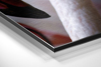 Flamingo Portrait Closeup Brushed Aluminium Dibond Wall Art