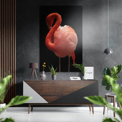 Coral Flamingo Curved Neck On Black Brushed Aluminium Dibond Wall Art
