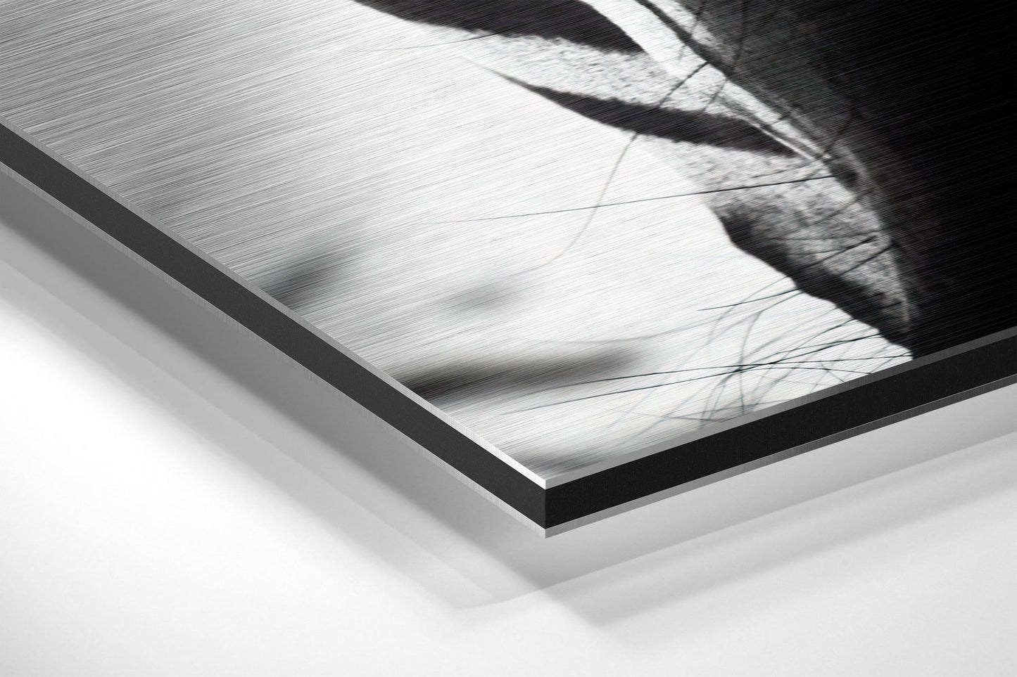 Zebra Face Front Stripes Close Up Brushed Aluminium Dibond Wall Art