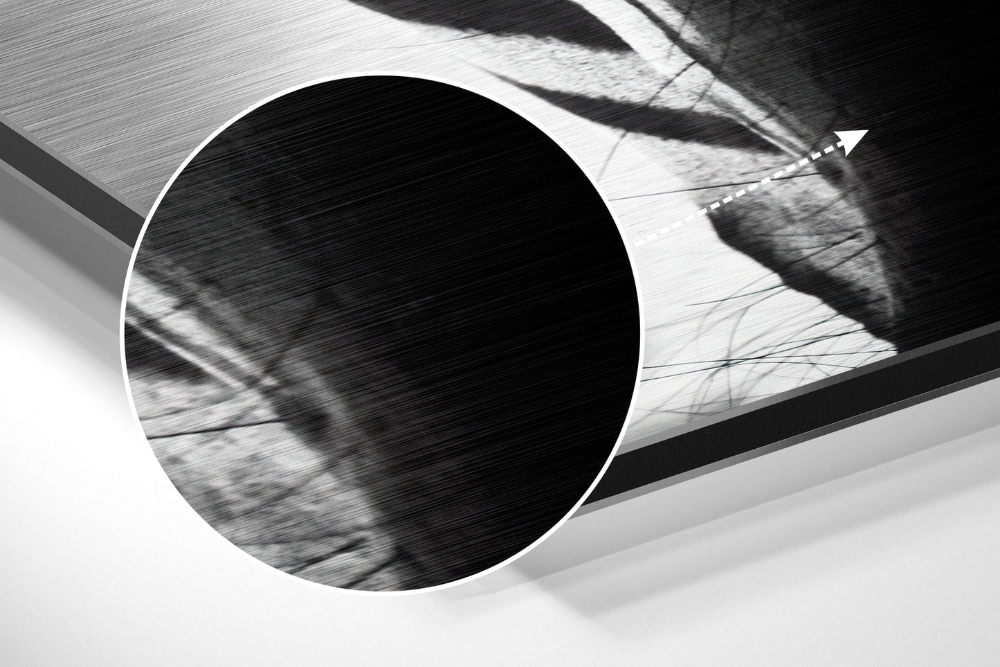 Zebra Face Front Stripes Close Up Brushed Aluminium Dibond Wall Art
