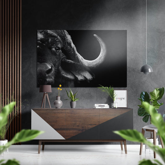 Black and white buffalo head profile with curved horn displayed above wooden console in modern gray interior with plants.