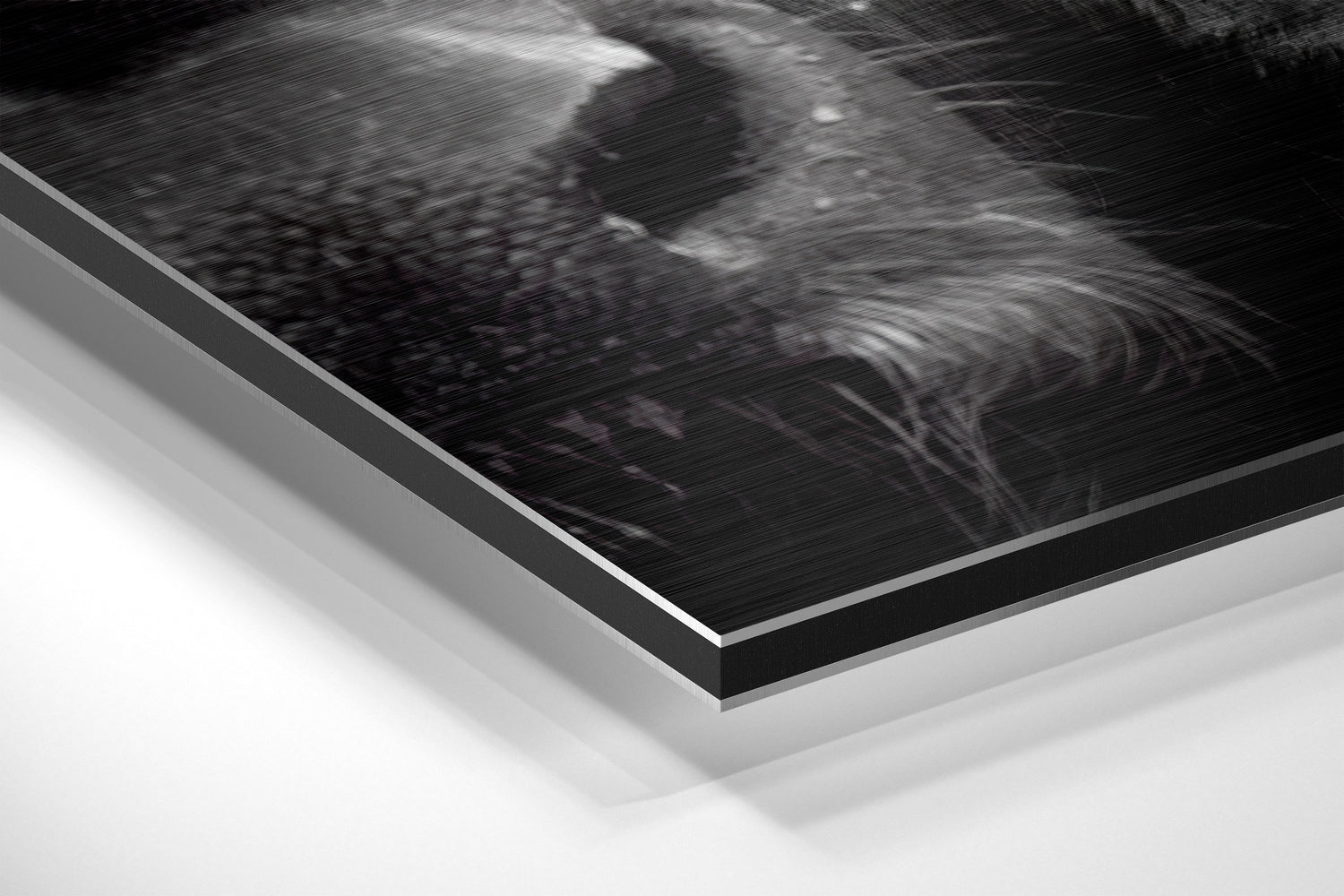 Close-up angled view of brushed aluminium Dibond print edge showing layered black and white material construction and metallic frame.