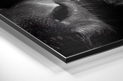 Close-up angled view of brushed aluminium Dibond print edge showing layered black and white material construction and metallic frame.