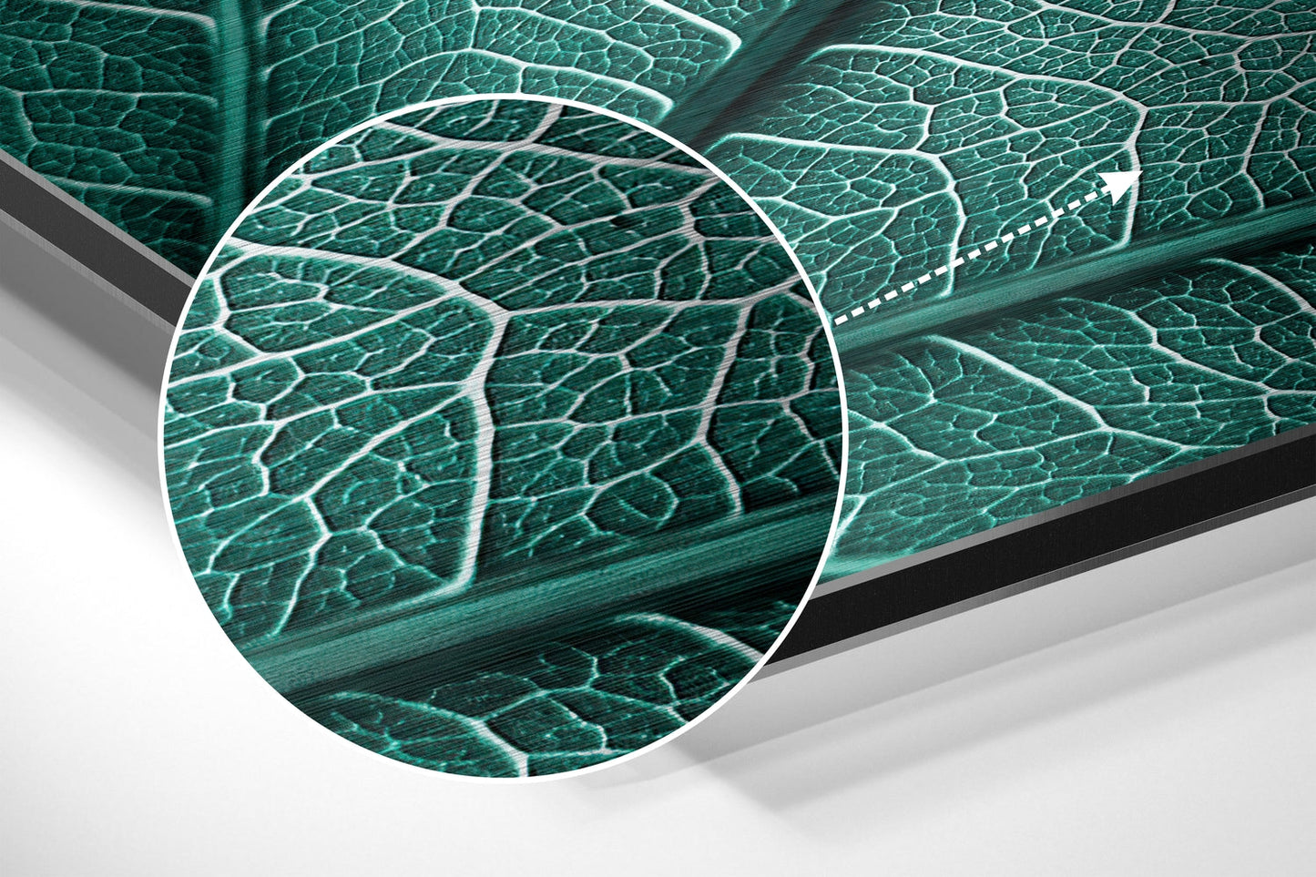 Teal Green Leaf Veins Macro Brushed Aluminium Dibond Wall Art