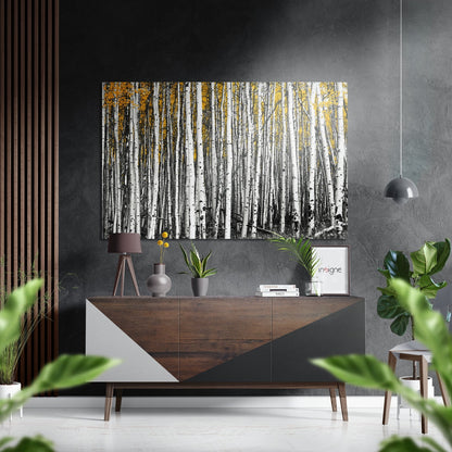 White Birch Trunks With Yellow Leaves Brushed Aluminium Dibond Wall Art