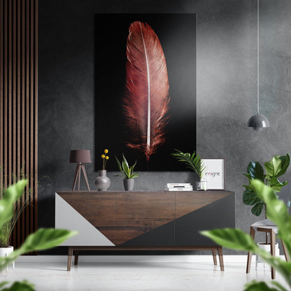 Crimson Red Feather on Black Brushed Aluminium Dibond Wall Art