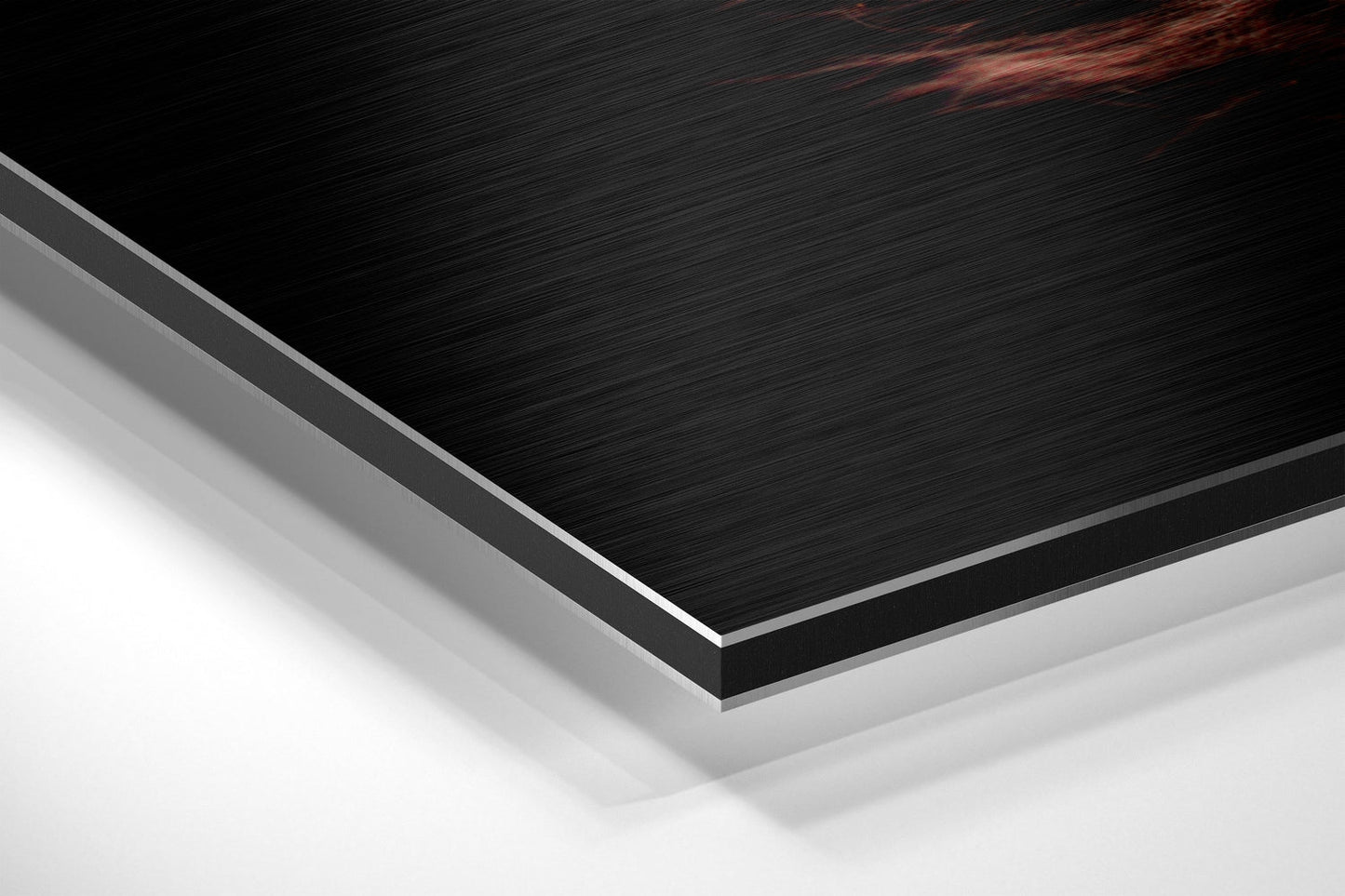 Crimson Red Feather on Black Brushed Aluminium Dibond Wall Art